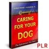 Thumbnail Caring For Your Dog 